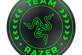 Razer Team Razer Floor Rug 電競椅地墊