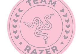 Razer Team Razer Floor Rug 電競椅地墊