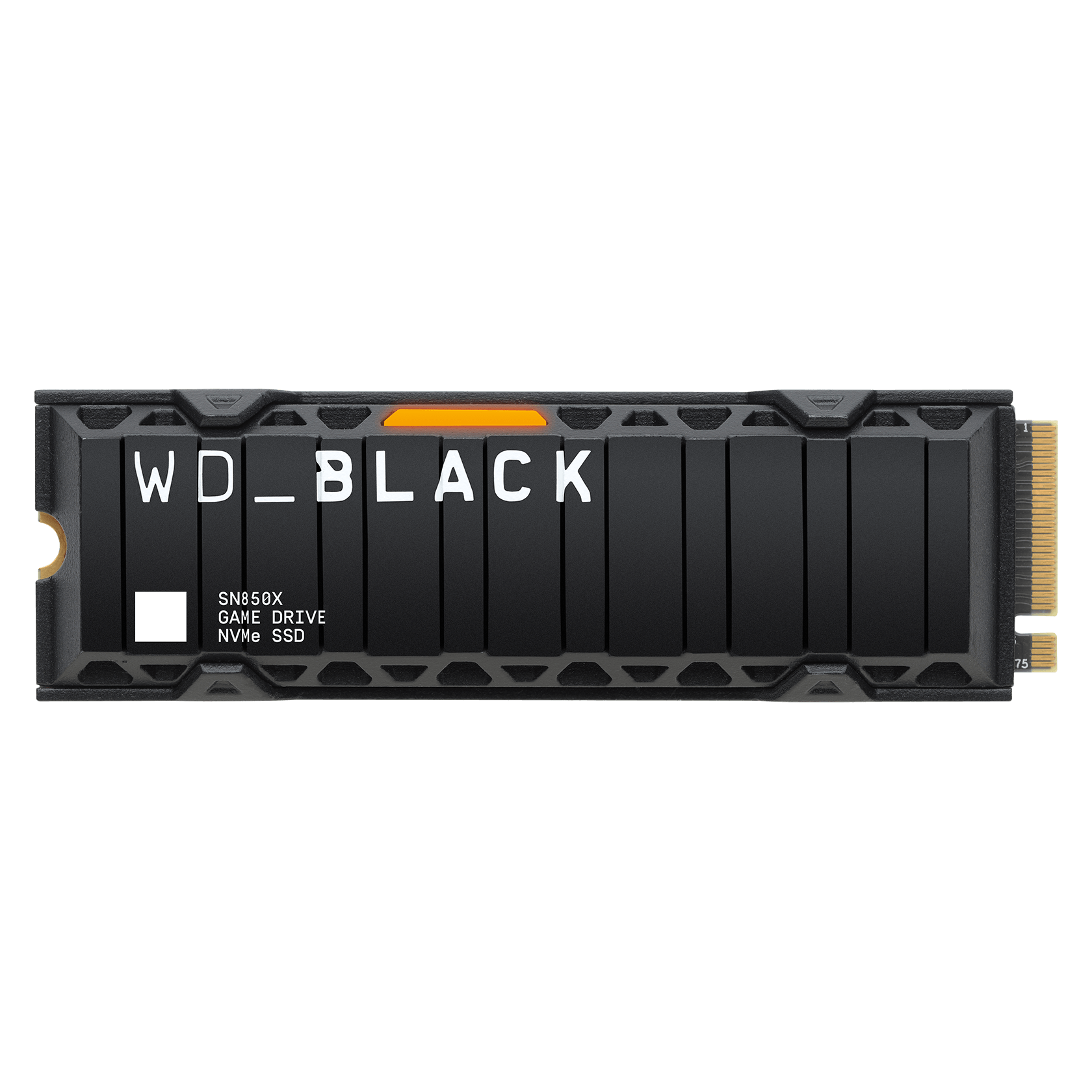 《光與影：33 號遠征隊》AMD x RTX 5070Ti 全開效果無壓力 | RTX 5070Ti | 1TB | 32GB |  D5 | WIFI |