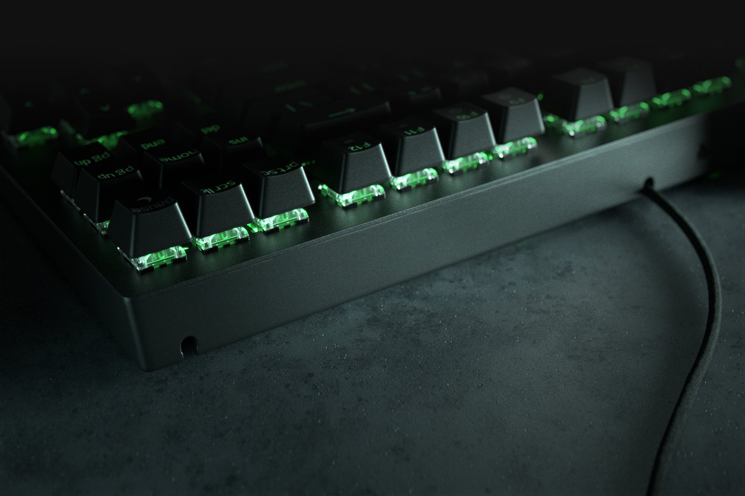 RAZER BlackWidow V3 Tenkeyless - 綠軸 - US